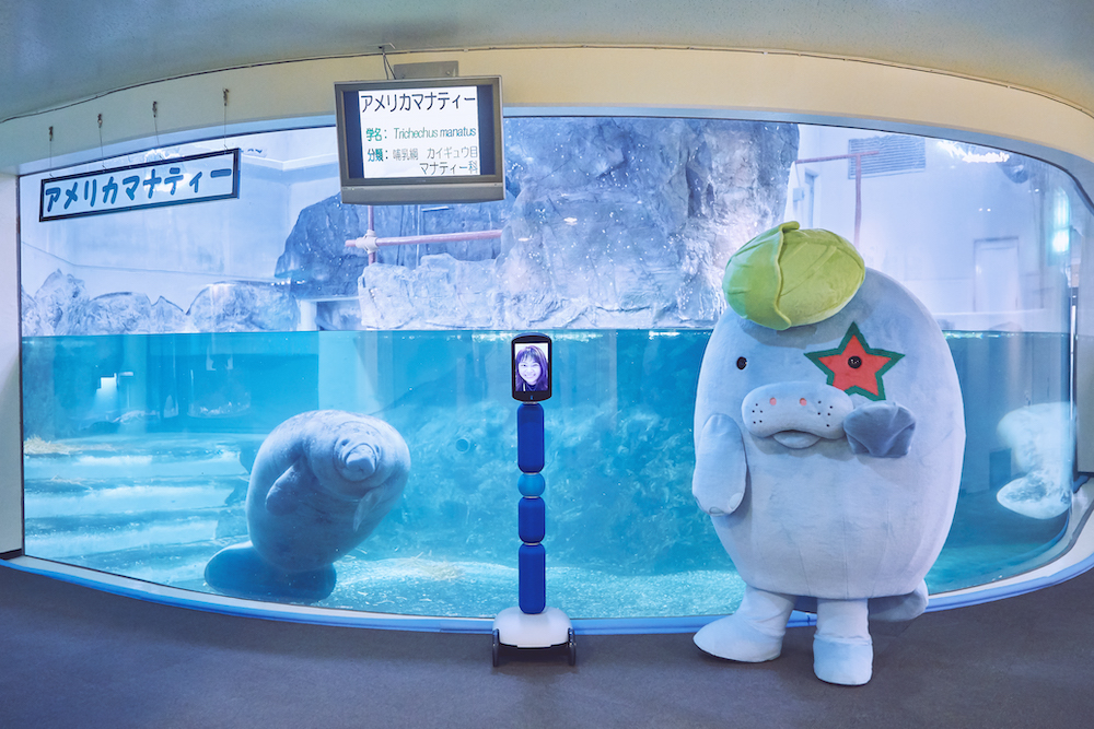 マナやん」と独り占めおしゃべり水族館デート - avatarin（アバター